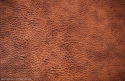 皮革貼圖技術(shù)在農(nóng)機(jī)租賃服務(wù)中的應(yīng)用與革新